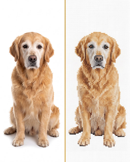 Golden retriever photo beside the finished cross stitch portrait made from it