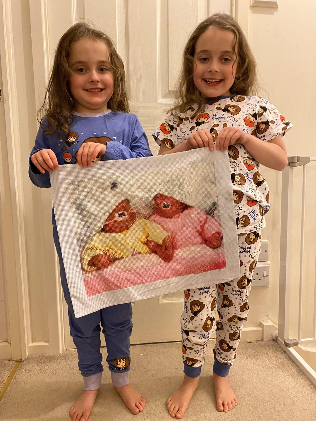 Custom Cross Stitch Kit - Preview Your Design - Cross Stitched