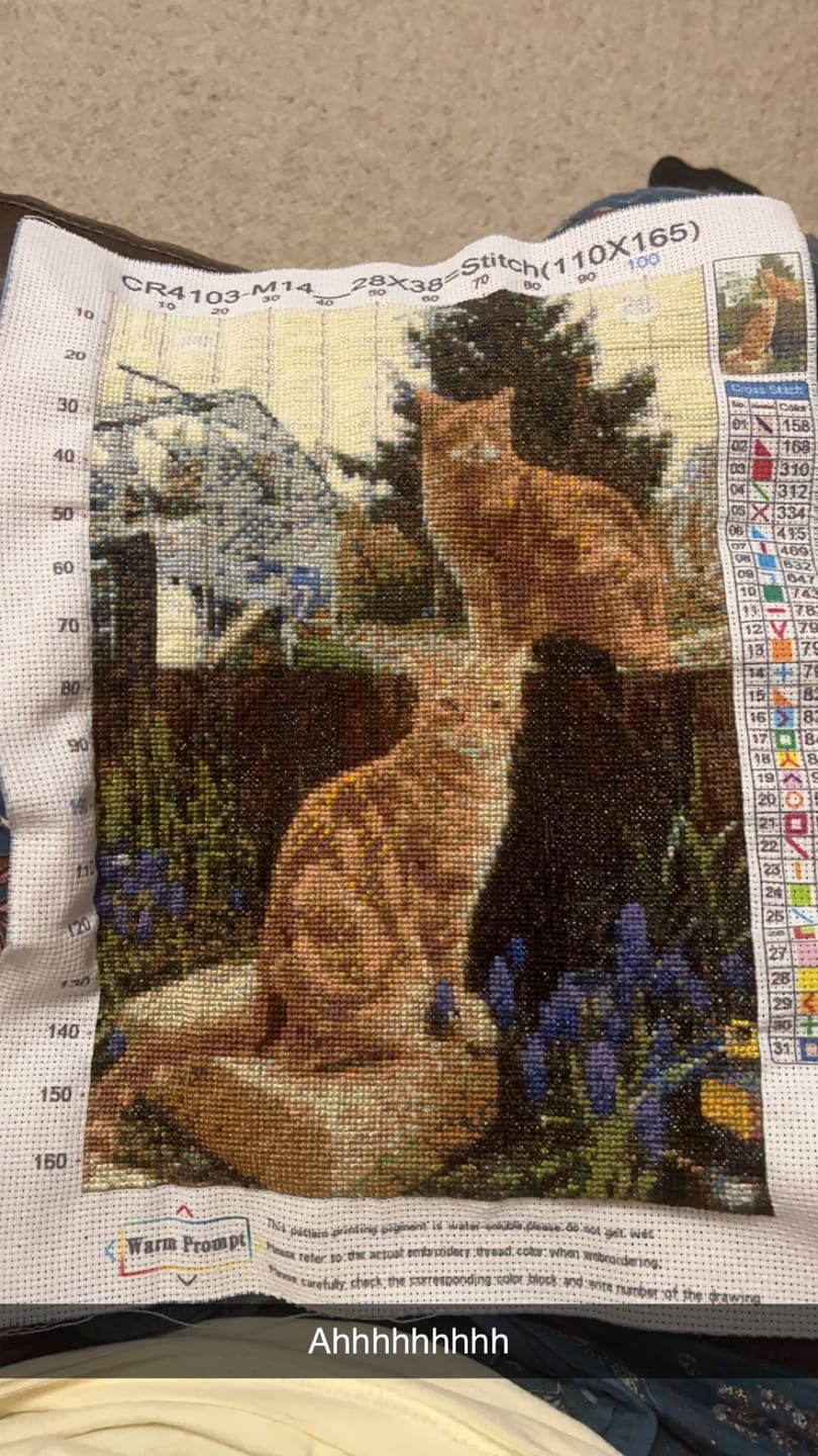 Custom Cross Stitch Kit - Preview Your Design - Cross Stitched