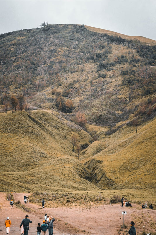 Cross Stitch | Aardvark - People Walking Near Mountain - Cross Stitched