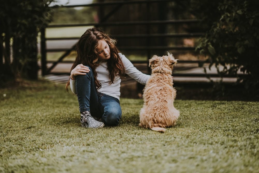 Cross Stitch | Alpaca - Girl Petting Dog - Cross Stitched