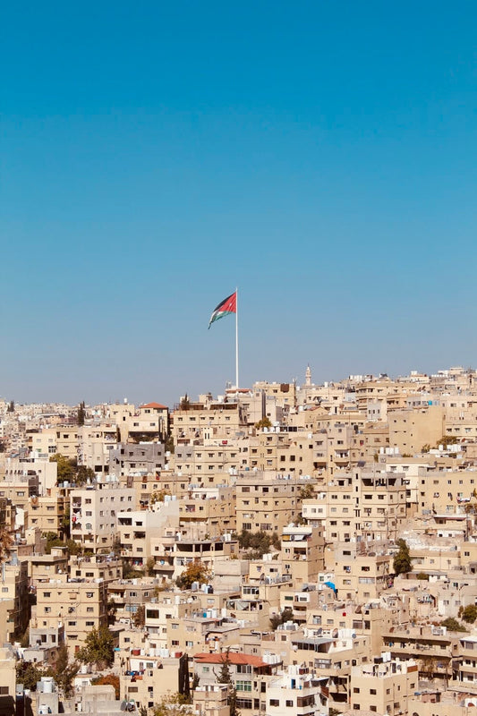 Cross Stitch | Amman - Brown Houses With Red And Blue Flag Waving On Pole - Cross Stitched