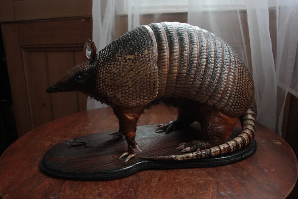 Cross Stitch | Armadillo - Brown Wooden Elephant Figurine On Black Table - Cross Stitched