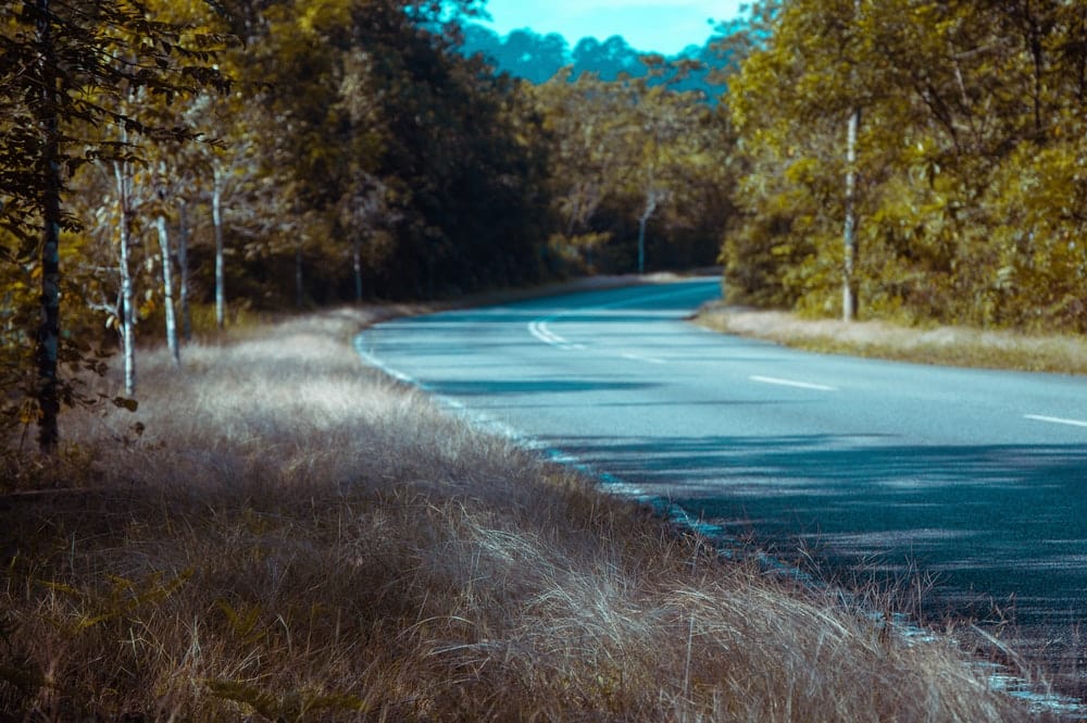 Cross Stitch | Armadillo - Empty Highway - Cross Stitched