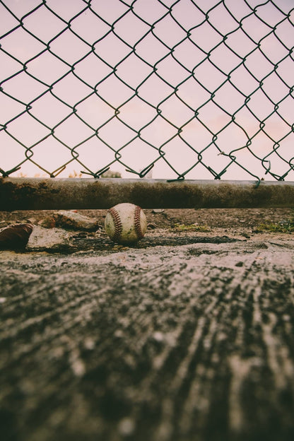 Cross Stitch | Armadillo - Grayscale Photo Of Baseball On Field - Cross Stitched