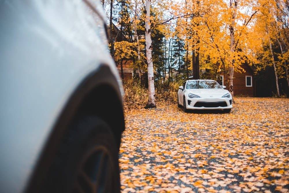Cross Stitch | Badger - White Coupe Parked Under Brown Trees - Cross Stitched