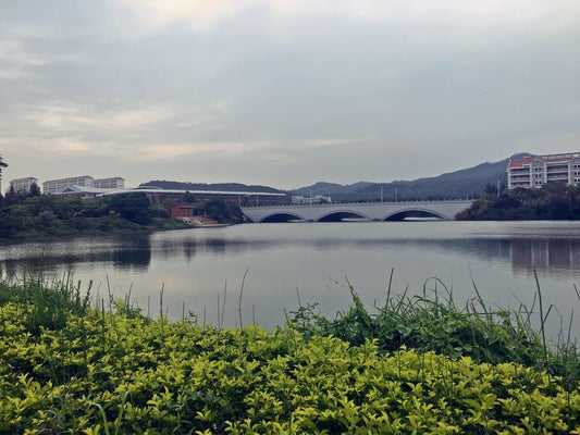 Cross Stitch | Baicheng - Green Grass Near Body Of Water During Daytime - Cross Stitched