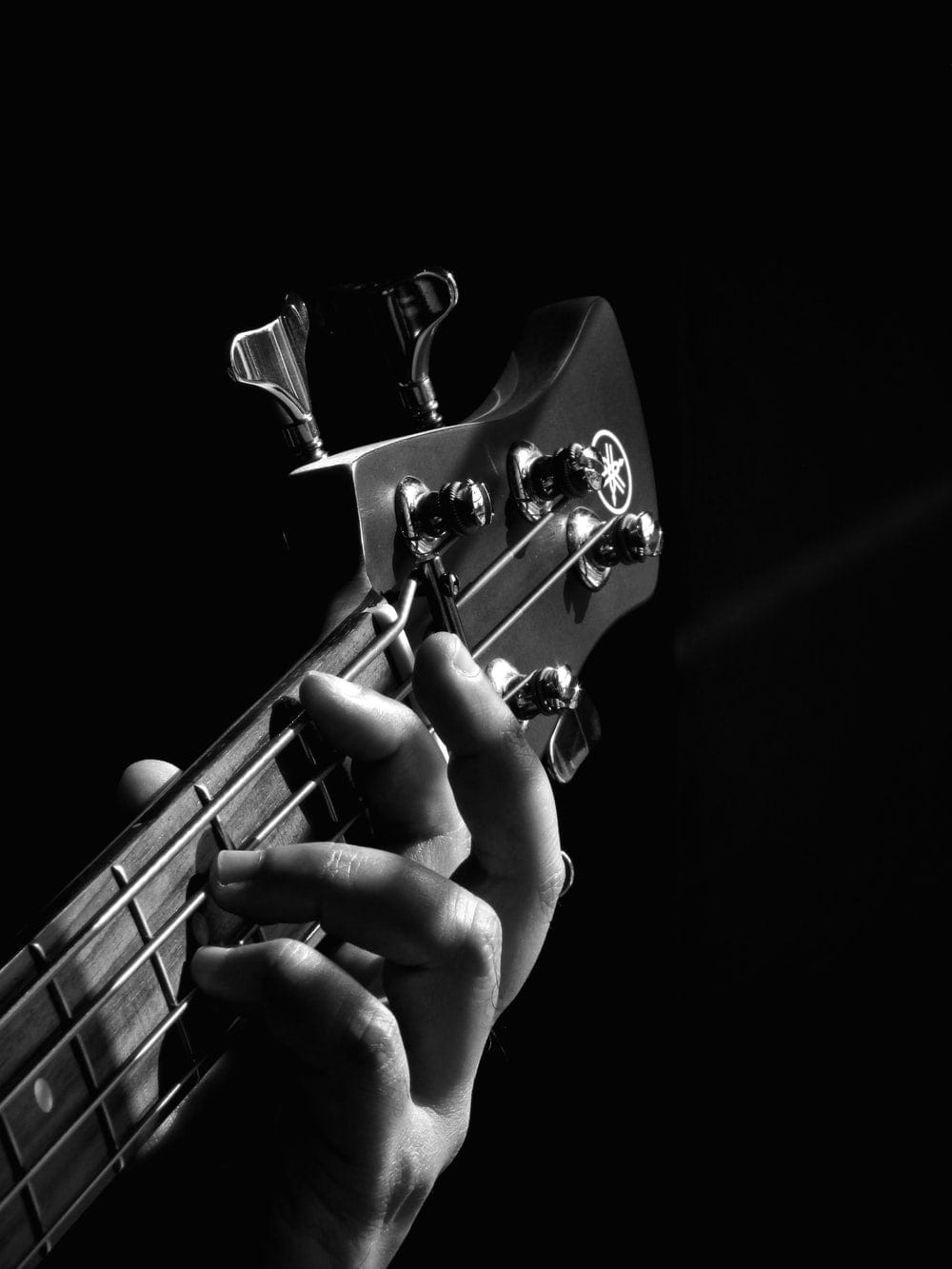 Cross Stitch | Bass - Person Playing Guitar Grayscale Photo - Cross Stitched