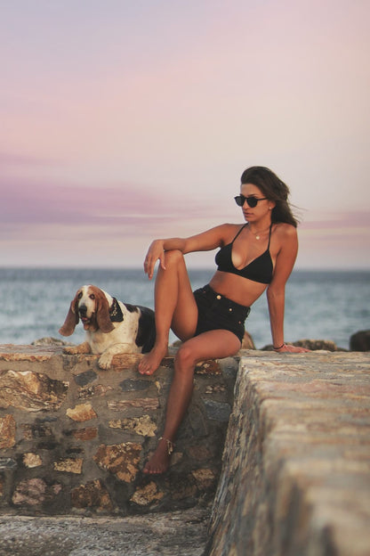Cross Stitch | Basset Hound - Woman In Black Bikini Sitting On Rock Near Sea During Daytime - Cross Stitched