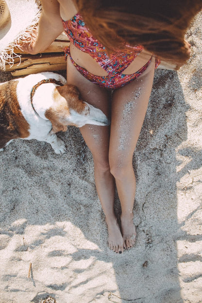 Cross Stitch | Basset Hound - Woman In Pink And White Bikini Lying On Sand Beside Brown And White Short Coated Dog - Cross Stitched