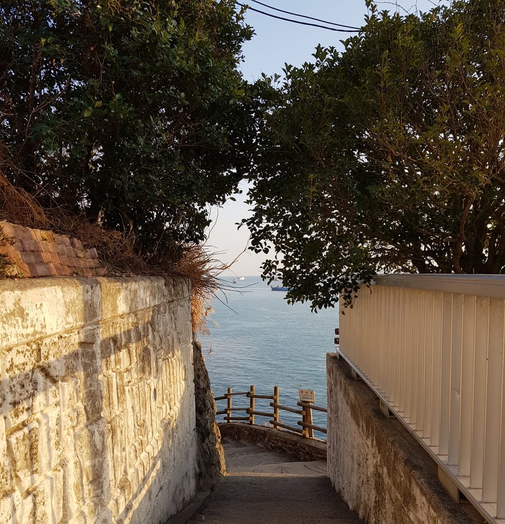 Cross Stitch | Busan - Green Tree Beside Brown Concrete Wall - Cross Stitched