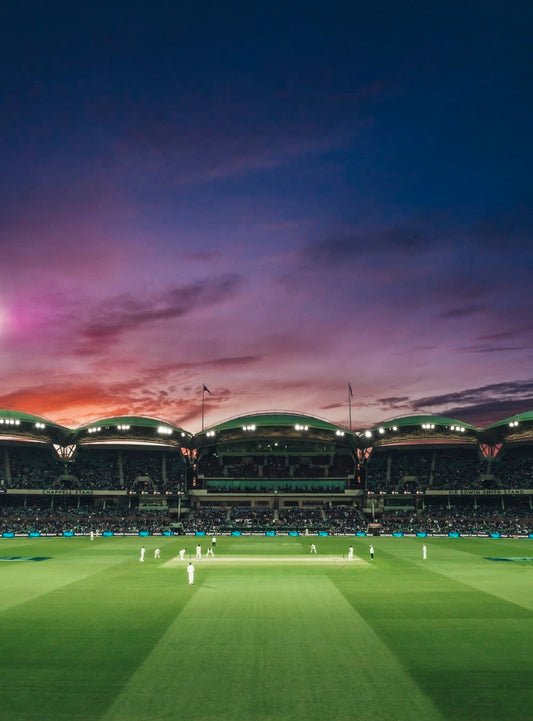 Cross Stitch | Cricket - People Watching Game Of Cricket During Sunset - Cross Stitched