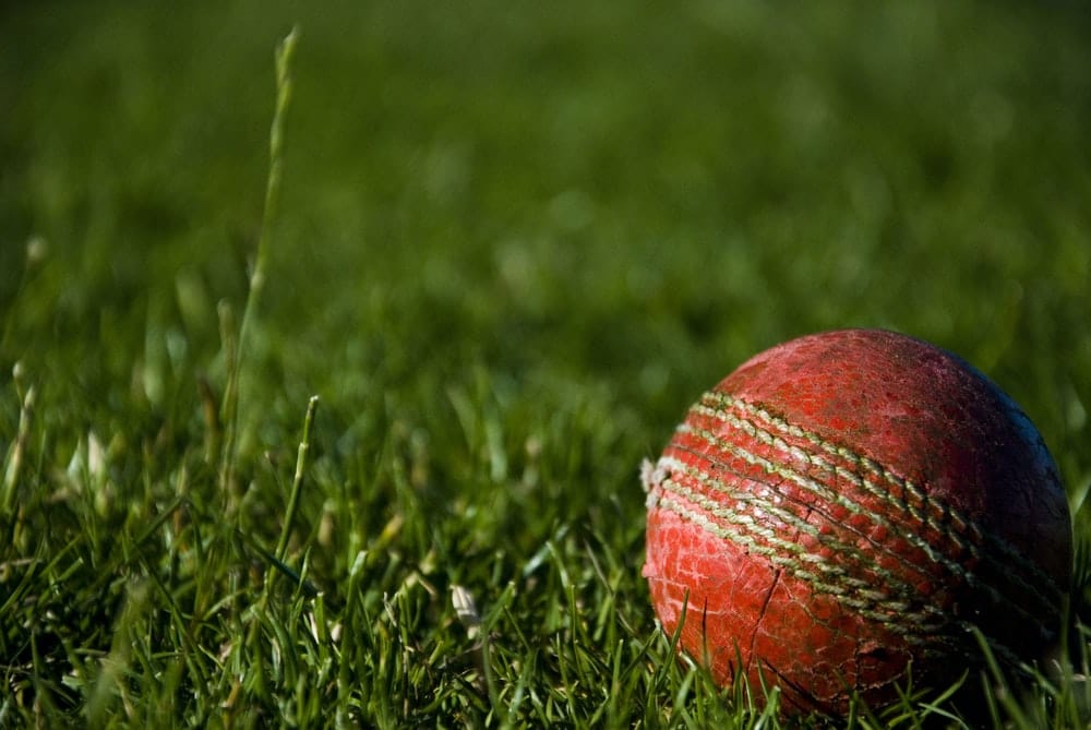 Cross Stitch | Cricket - Shallow Focus Photography Of Red Cricket Ball - Cross Stitched