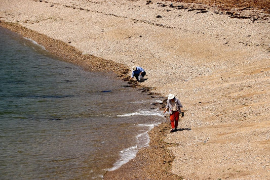 Cross Stitch | Dalian - 2 Children Walking On Beach During Daytime - Cross Stitched