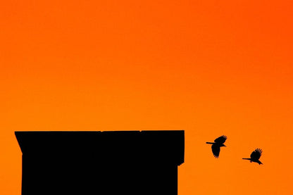 Cross Stitch | Dhaka - Silhouette Photography Building And Two Birds - Cross Stitched