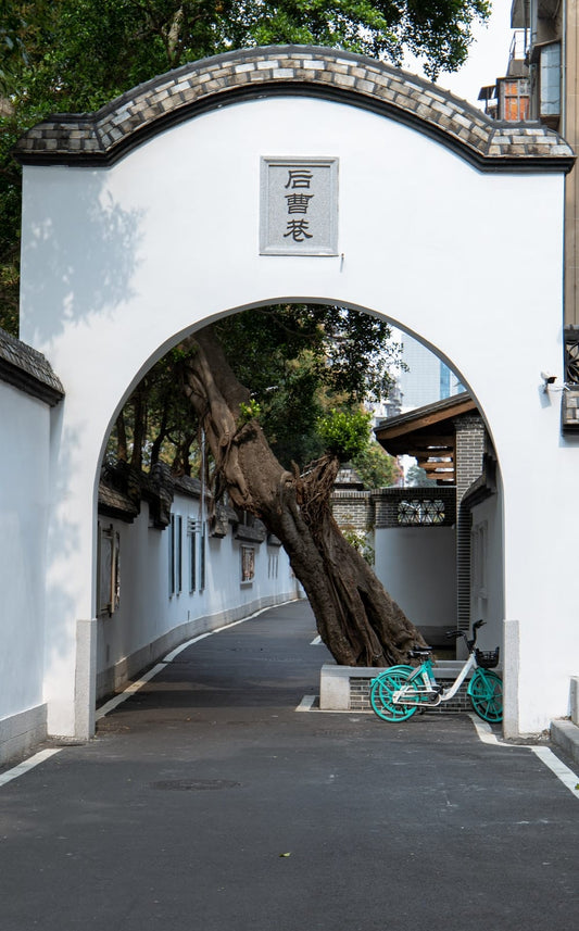 Cross Stitch | Fuzhou - Green And White Bicycle Parked Beside White Concrete Building During Daytime - Cross Stitched