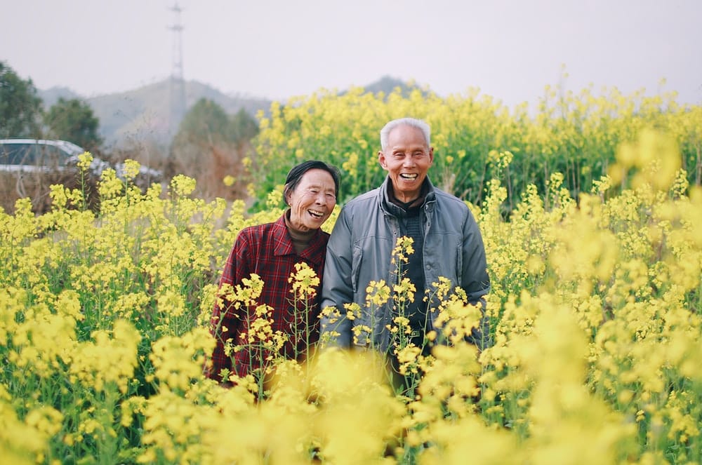 Cross Stitch | Ji’An - Man And Woman Standing Surrounded By Yellow Flowers - Cross Stitched