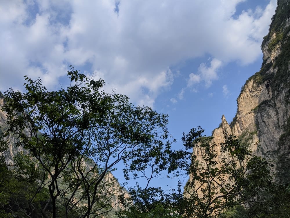 Cross Stitch | Jiaozuo - Green Trees Under Blue Sky During Daytime - Cross Stitched