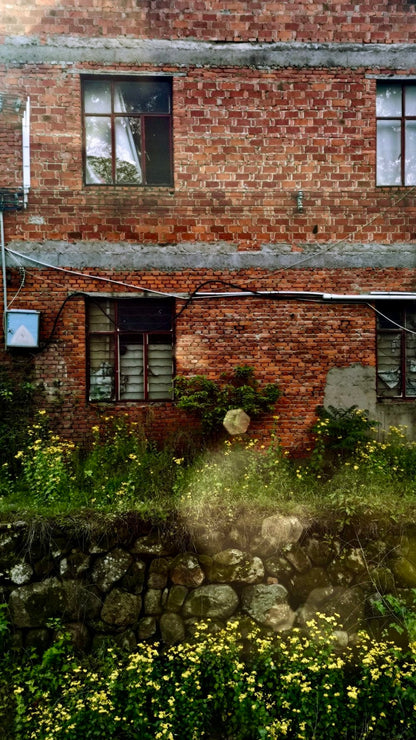 Cross Stitch | Jinhua - Brown Brick Building With Green Grass And Green Plants - Cross Stitched