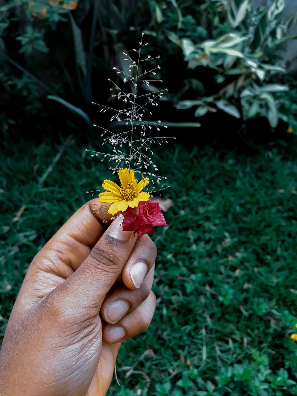 Cross Stitch | Kinshasa - Yellow And Red Flower In Bloom During Daytime - Cross Stitched