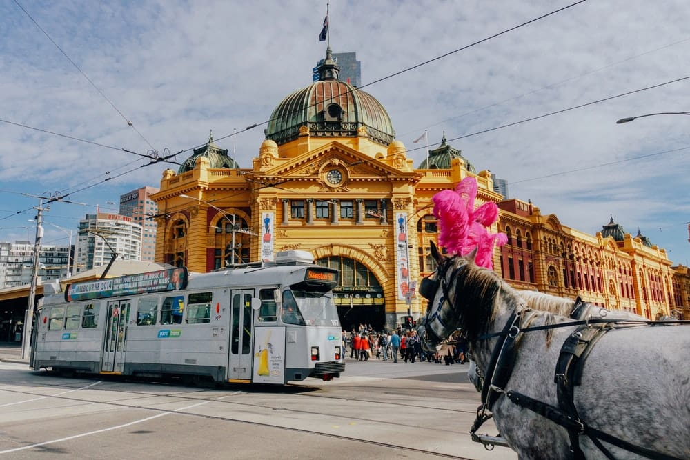 Cross Stitch | Melbourne - White Bus Near Brown And Yellow Dome Building - Cross Stitched