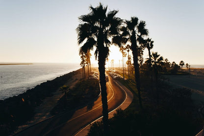 Cross Stitch | San Diego - Silhouette Of Trees Near Ocean During Sunset - Cross Stitched