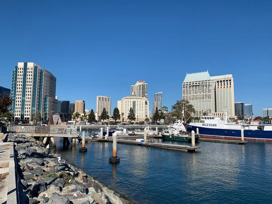 Cross Stitch | San Diego - White And Blue Boat On Sea Near City Buildings During Daytime - Cross Stitched