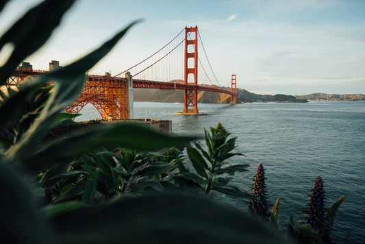 Cross Stitch | San Francisco - Golden Gate Bridge, California - Cross Stitched