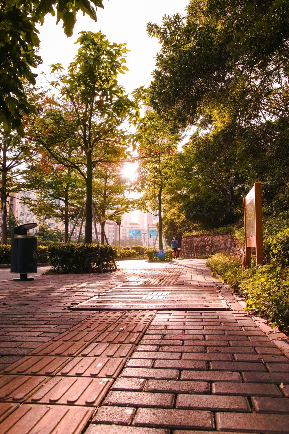 Cross Stitch | Shenzhen - Brown Wooden Pathway Between Green Trees During Daytime - Cross Stitched