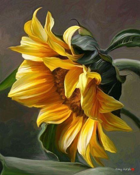 Cross Stitch | Sunflower Portrait - Cross Stitched