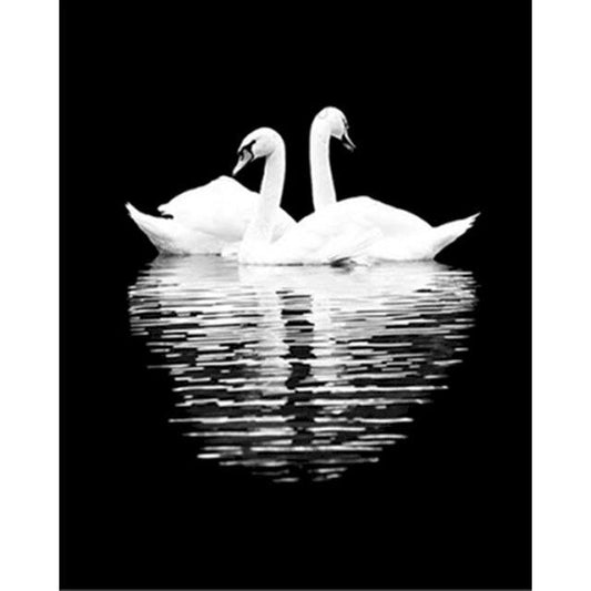 Cross Stitch | Swan Reflection - Cross Stitched