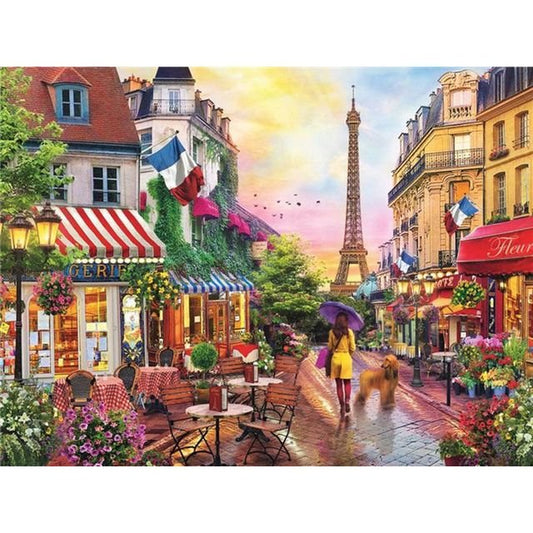 Cross Stitch | The Old Street in Paris - Cross Stitched
