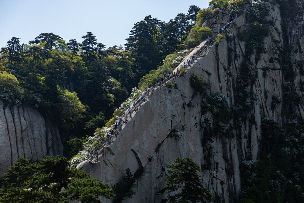 Cross Stitch | Weinan - Green Trees On Mountain During Daytime - Cross Stitched