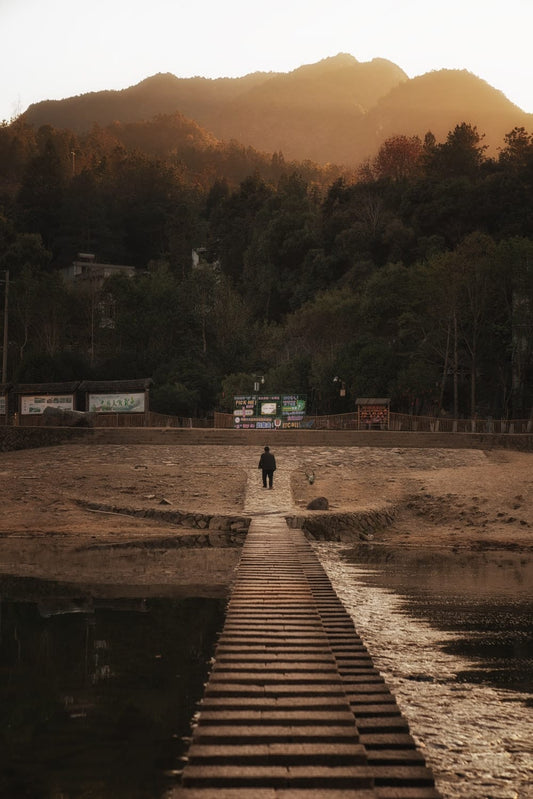 Cross Stitch | Wenzhou - Person Walking On Wooden Pathway Near Green Trees During Daytime - Cross Stitched