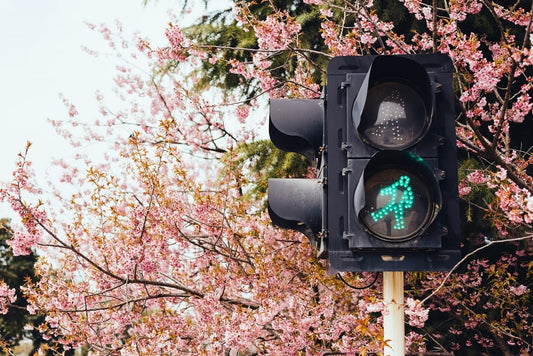 Cross Stitch | Yangzhou - Black Traffic Light On Green Light - Cross Stitched