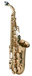 Saxophone Musical Instrument Wind Instruments Cross Stitch Kit - Cross Stitched